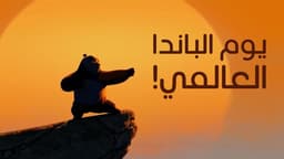 يوم الباندا العالمي!