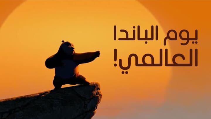 يوم الباندا العالمي!